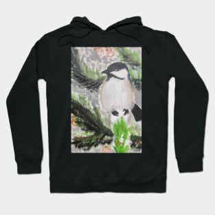 Black Capped Chickadee Hoodie